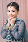 Maria B | 3 Piece Embroidered Organza Suit | MKS-EF24-29 - House Of Hania