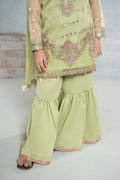 Maria B | 3 Piece Embroidered Organza Suit | MKS-EF24-45 - House Of Hania
