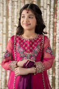 Maria B | 3 Piece Embroidered Organza Suit | MKS-EF25-16 - House Of Hania