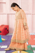 Maria B | 3 Piece Embroidered Organza Suit | MKS-PF24-07 - House Of Hania