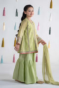 Maria B | 3 Piece Embroidered Paper Cotton Suit | MKS-EA24-04 - House Of Hania