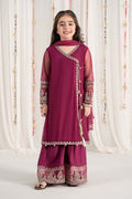 Maria B | 3 Piece Embroidered Polyester Net Suit | MKS-EF25-43 - House Of Hania