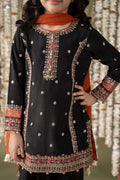 Maria B | 3 Piece Embroidered Raw Silk Suit | MKS-EF25-25 - House Of Hania