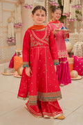 Maria B | 3 Piece Embroidered Raw Silk Suit | MKS-W24-02 - House Of Hania
