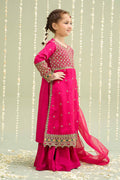 Maria B | 3 Piece Embroidered Raw Silk Suit | MKS-W24-13 - House Of Hania