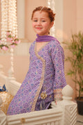 Maria B | 3 Piece Embroidered Raw Silk Suit | MKS-W24-20 - House Of Hania