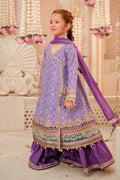 Maria B | 3 Piece Embroidered Raw Silk Suit | MKS-W24-20 - House Of Hania