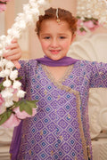 Maria B | 3 Piece Embroidered Raw Silk Suit | MKS-W24-20 - House Of Hania