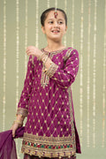 Maria B | 3 Piece Embroidered Raw Silk Suit | MKS-W24-28 - House Of Hania