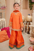 Maria B | 3 Piece Embroidered Raw Silk Suit | MKS-W24-31 - House Of Hania