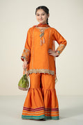 Maria B | 3 Piece Embroidered Raw Silk Suit | MKS-W24-31 - House Of Hania