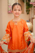 Maria B | 3 Piece Embroidered Raw Silk Suit | MKS-W24-31 - House Of Hania