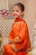 Maria B | 3 Piece Embroidered Raw Silk Suit | MKS-W24-31 - House Of Hania