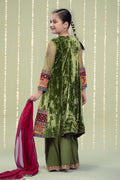 Maria B | 3 Piece Embroidered Velvet Suit | MKS-W24-15 - House Of Hania
