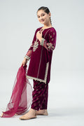 Maria B | 3 Piece Embroidered Velvet Suit | MKS-W24-32 - House Of Hania