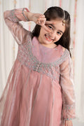 Maria B | 3 Piece Embroidered Zari Net Suit | MKS-EF25-01 - House Of Hania