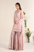 Maria B | Casual Pret 25 | DW-EF25-17 - House Of Hania