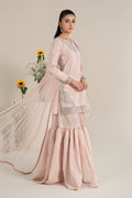 Maria B | Casual Pret 25 | DW-EF25-61 - House Of Hania