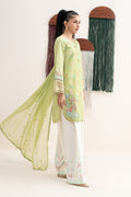 Maria B | Eid Collection 26 | DW-EA26-112 - House Of Hania