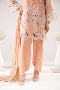 Maria B | Eid Collection 26 | DW-EF26-02 - House Of Hania