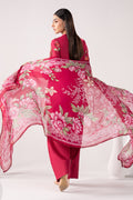 Maria B | Eid Collection 26 | DW-EF26-199 - House Of Hania