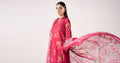 Maria B | Eid Collection 26 | DW-EF26-199 - House Of Hania