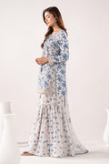 Maria B | Eid Collection 26 | DW-EF26-200 - House Of Hania