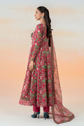 Maria B | Formal Wears | DW-EF25-90 - House Of Hania