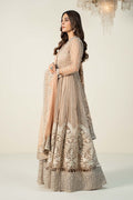 Maria B | Formal Wears | Organza Suit | SF-W24-70 - House Of Hania