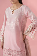 Maria B | Luxury Pret 25 | DW-EA25-66 - House Of Hania