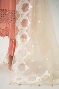 Maria B | Luxury Pret 25 | DW-EF23-41 - House Of Hania