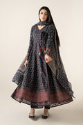 Maria B | Luxury Pret Winter 25 | DW-W25-21 - House Of Hania