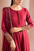 Maria B | Luxury Pret Winter 25 | DW-W25-31 - House Of Hania