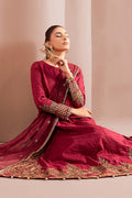 Maria B | Luxury Pret Winter 25 | DW-W25-31 - House Of Hania