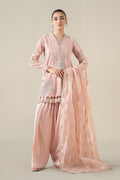 Maria B | Luxury Winter Pret 25 | DW-EA25-13-Peach - House Of Hania