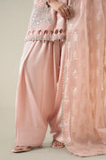 Maria B | Luxury Winter Pret 25 | DW-EA25-13-Peach - House Of Hania