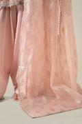 Maria B | Luxury Winter Pret 25 | DW-EA25-13-Peach - House Of Hania