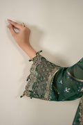 Maria B | Luxury Winter Pret 25 |DW-EA25-59-Green - House Of Hania
