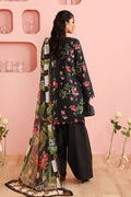 Maria B | Luxury Winter Pret 25 | DW-PF25-06-Black - House Of Hania