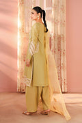 Maria B | Luxury Winter Pret 25 | DW-PF25-34-Light Green - House Of Hania