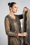 Maria B | Luxury Winter Pret 25 | DW-W25-01-Black - House Of Hania