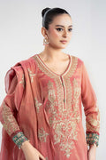 Maria B | Luxury Winter Pret 25 | DW-W25-01-Pink - House Of Hania