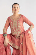 Maria B | Luxury Winter Pret 25 | DW-W25-01-Pink - House Of Hania