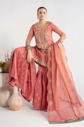 Maria B | Luxury Winter Pret 25 | DW-W25-01-Pink - House Of Hania