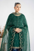 Maria B | Luxury Winter Pret 25 | DW-W25-27-Green - House Of Hania
