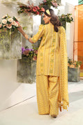 Maria B | M Basic Summer Lawn 25 | MB-CUS25-711A - House Of Hania