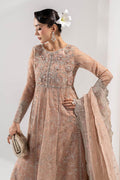 Maria B | Pre Fall Dresses | 3 Piece Embroidered Organza Suit ZS - House Of Hania