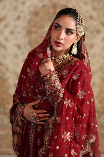 Maria B | Shehnai Luxury Formals | SF-W25-01 - House Of Hania