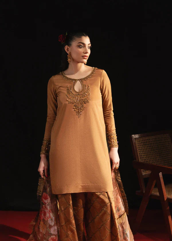 Maria Osama Khan | Jashan | Zeba-e-Jashan - House Of Hania