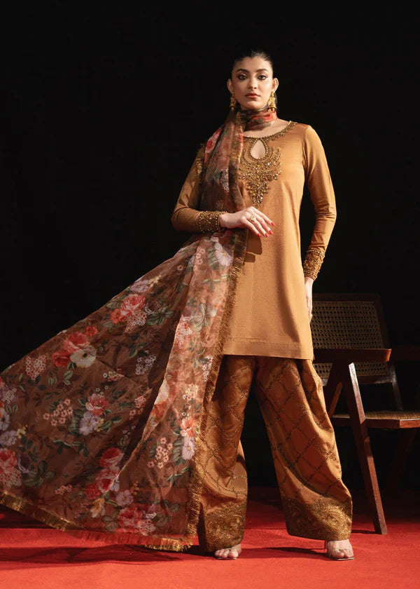 Maria Osama Khan | Jashan | Zeba-e-Jashan - House Of Hania